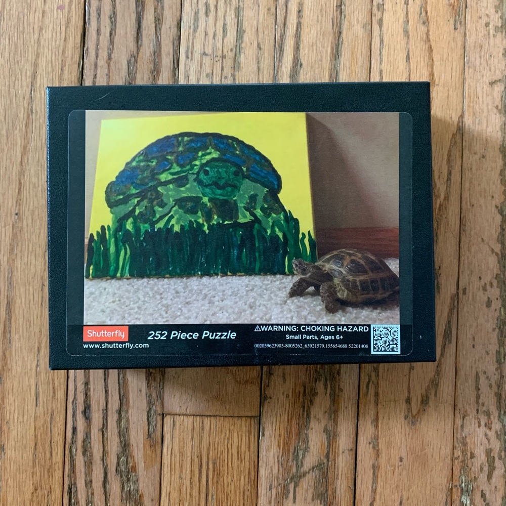 252 piece Jigsaw Puzzle - TORTOISE LOOKING AT PAINTING * EUC *